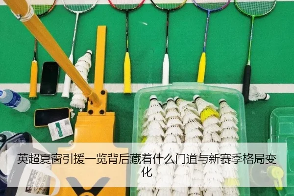 英超夏窗引援一览背后藏着什么门道与新赛季格局变化
